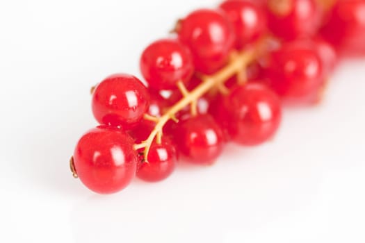 A panicle with currants