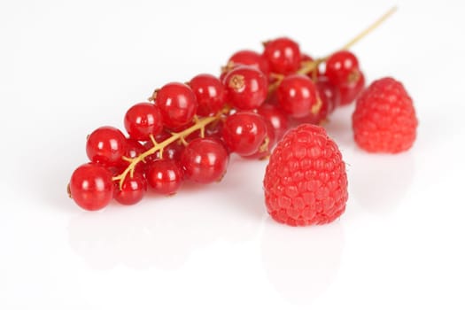 Currants and raspberries mixed