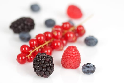 Mixed berries on a white background