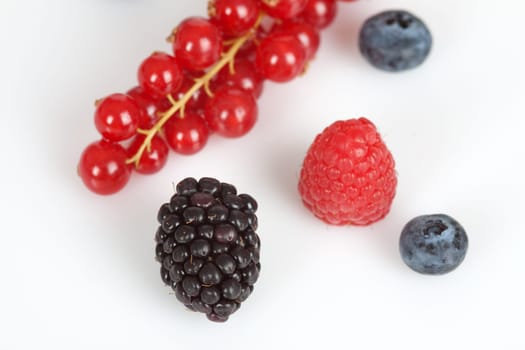 Mixed berries on a white background