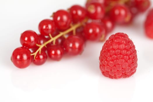Currants and raspberries mixed