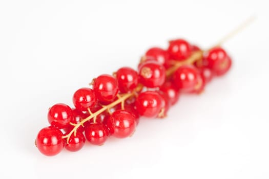 A panicle with currants