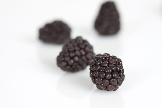 Blackberries on a white background