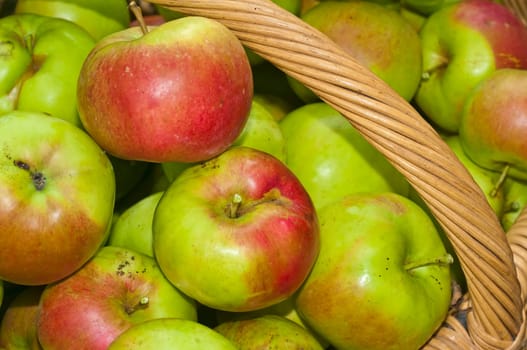 Apples in a basket