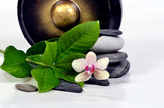 Wellness Gong Stones Massage