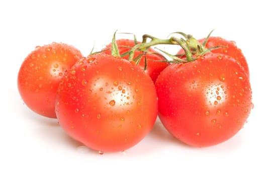 Bunch of Fresh Tomatoes on White Background