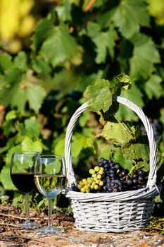two glasses of wine and grapes in a basket