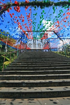 Madeira Nossa Senhora do Monte
