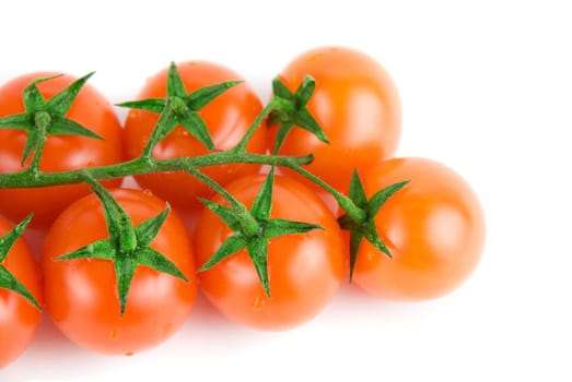 cherry tomatoes isolated on a white background