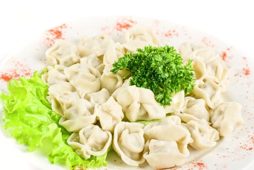meat dumplings closeup with greens on a white