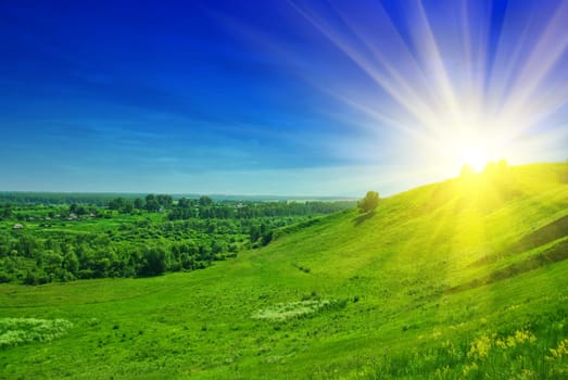 summer landscape of green valley and blue sky