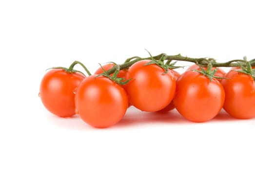 cherry ripe tomatoes isolated on a white background