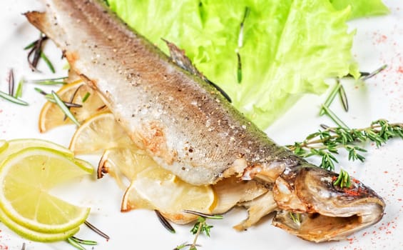 trout fish baked with greens close up