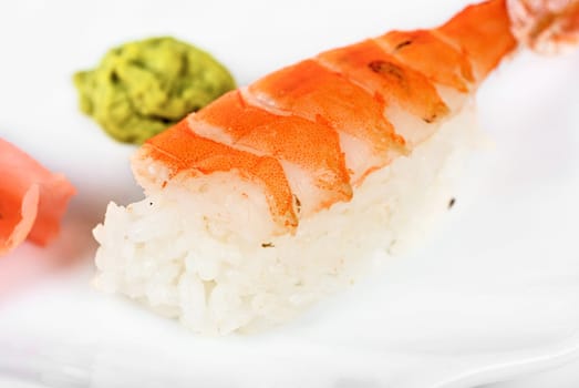 nigiri sushi closeup isolated on white background