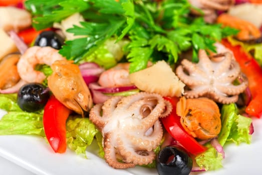 appetizer closeup of different seafood and vegetables on a white