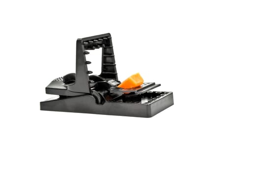 Mouse trap with cheese isolated on white background.