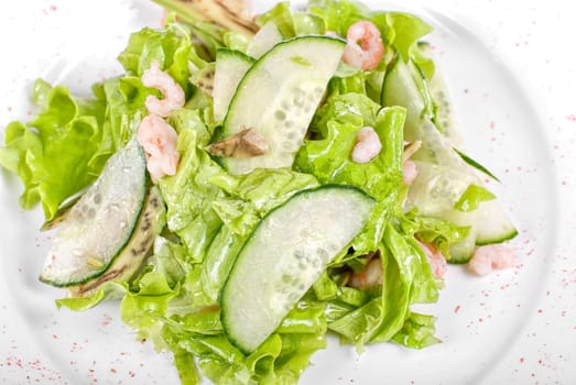 shrimp salad with cucumber and avocado