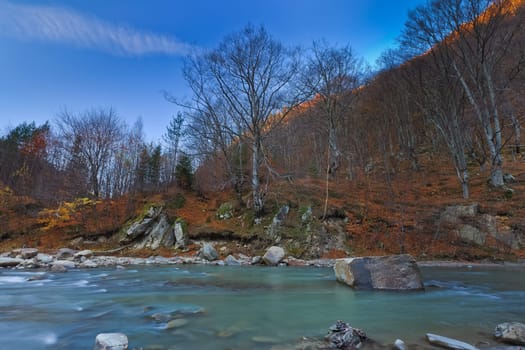 a mountain river and a forest of autumn