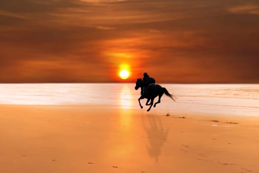 silhouette of a horse and rider galloping on ballybunion beach at sunset in kerry ireland