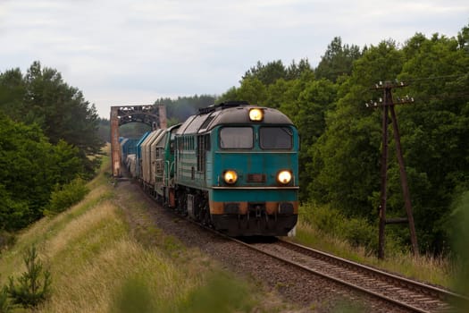 Freight train hauled by the diesel locomotive passing the forest