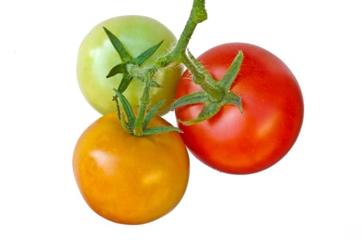 Tomato ripe and unripe