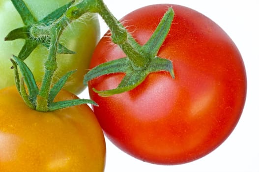 Tomato ripe and unripe