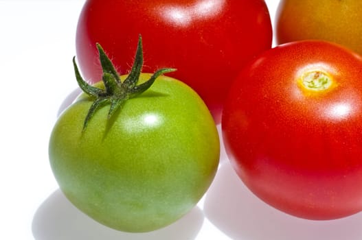 Tomato ripe and unripe