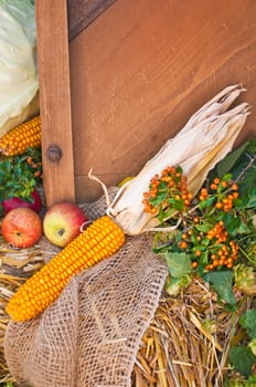 Decoration for Thanksgiving