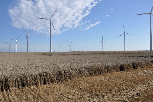 group of wind power units under a sky with cirrus clouds  in corn and stubble flieds, german plains of saxony