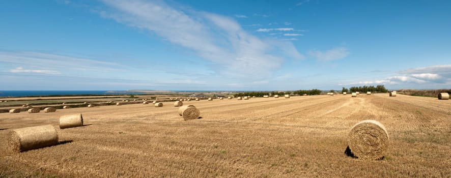overview with bales of hay in cornwall