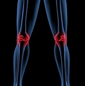 Medical skeleton with a close up of the legs showing pain in the knees