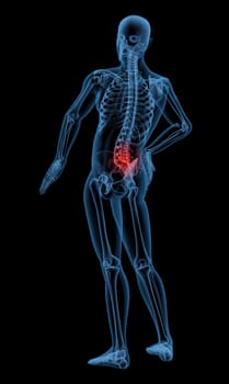 3D render of a skeleton highlighting pain in the back