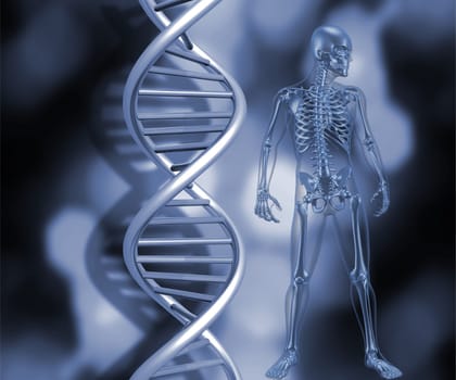 3D render of a medical skeleton stood next to DNA strands