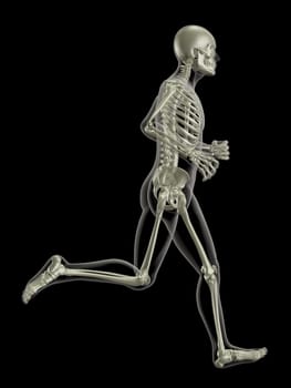 3D render of a medical skeleton in a running pose
