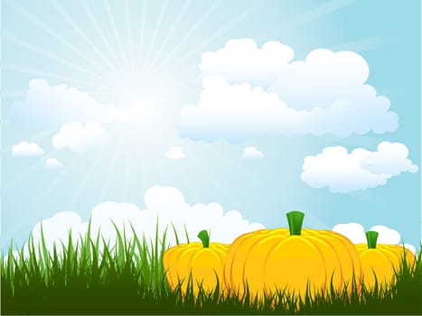Pumpkins in grass against a sunny sky