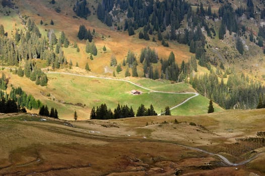 Simmental in Switzerland