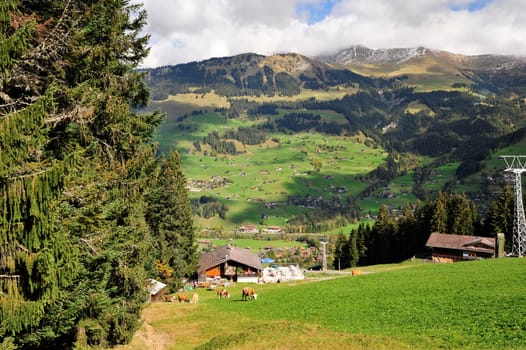 View of the village of Lenk in the Simmental