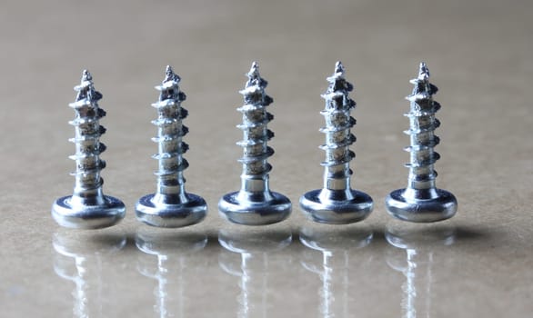Screw
