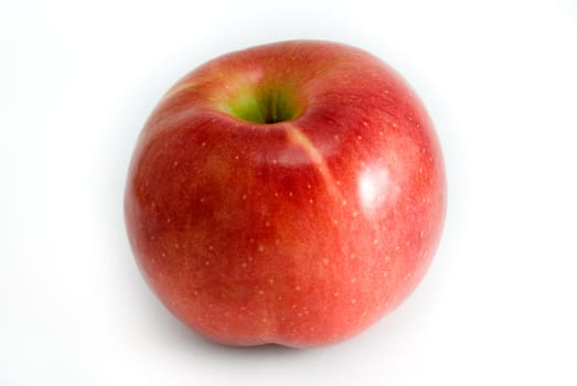 Red apple are photographed on a white background