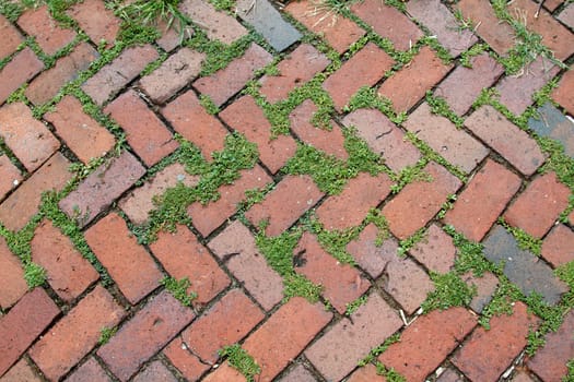 The dirty texture of a brick patterned sidewalk