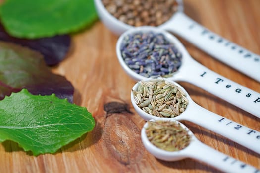 Old table-top selection of herbs and grains in measuring spoons