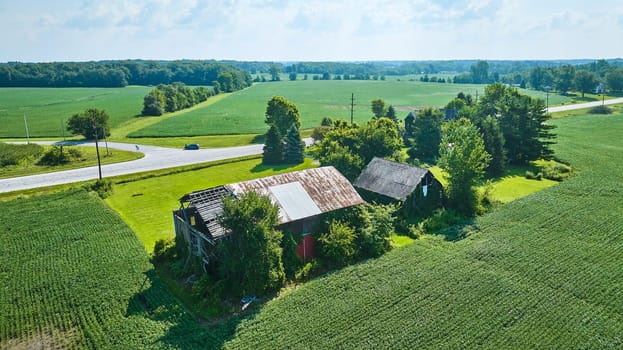 Image of Two barns falling apart on soybean farm aerial summer day