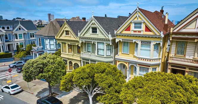 Image of Aerial The Painted Ladies four houses with green sycamore trees beneath second floor windows