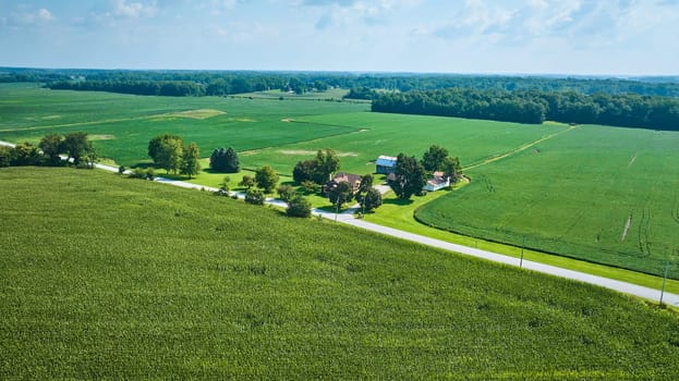 Image of Wide view of farmland with lush green crops and single road through country aerial