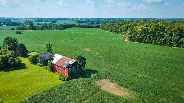 Image of Aerial over soybean field with brown barn and red barn with partially blown off roof