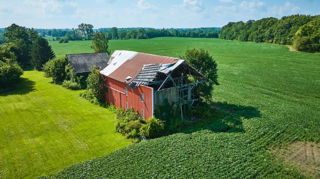 Image of Gorgeous summer day aerial over soybean farm with two decaying barns