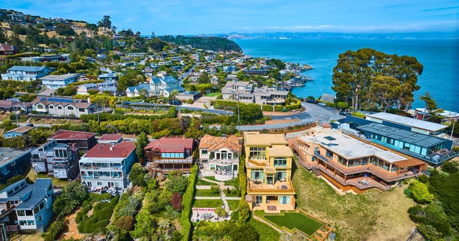 Image of Aerial Tiburon mansions on hillside overlooking Lyford Cove and distant shoreline