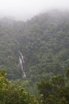 White waterfall rushing down the mountainside in Magoebaskloof forest, South Africa