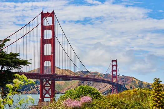 Image of Golden Gate Bridge with blue sky summer day and plants on hill