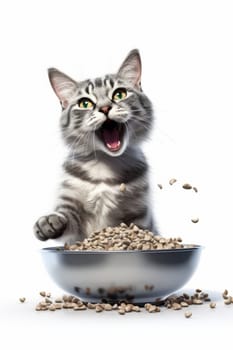 Funny happy gray cat eats from a large iron bowl full of dry food. Vertical